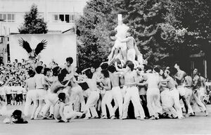 高28 E白組棒倒し準優勝3.jpeg