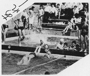 1968高21回生卒業アルバムより水泳WS000025.jpg