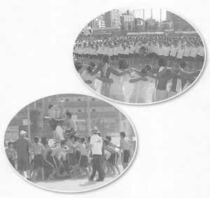 2012年掲載 右.jpg