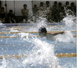 2015 水泳大会.jpg